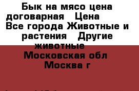 Бык на мясо цена договарная › Цена ­ 300 - Все города Животные и растения » Другие животные   . Московская обл.,Москва г.